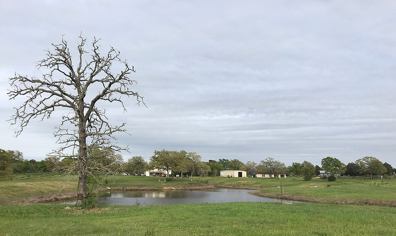 Texas Calm
