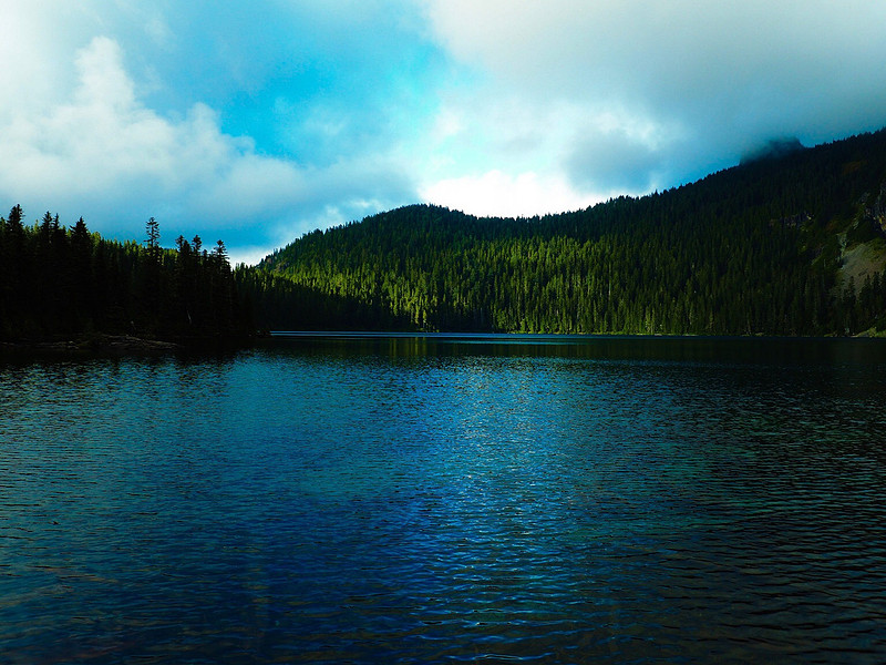 Lake Mowich - Mt. Rainier