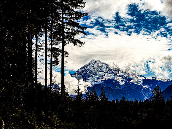 Mt. Rainier